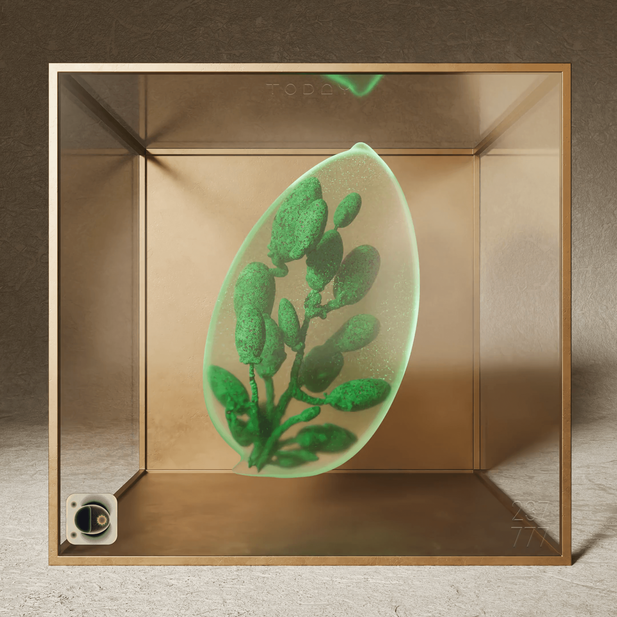 Ancient Seed #237